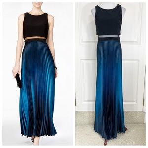 Betsy & Adam pleated shimmer ombré gown